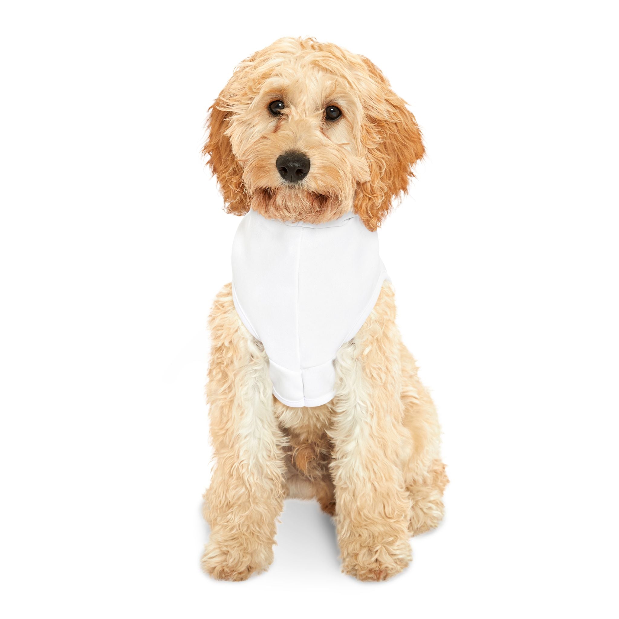 Stylish Pet Hoodie, Cozy Sweatshirt for Dogs, Cute Dog Apparel, Pet Gift for Dog Lovers, Perfect for Holidays