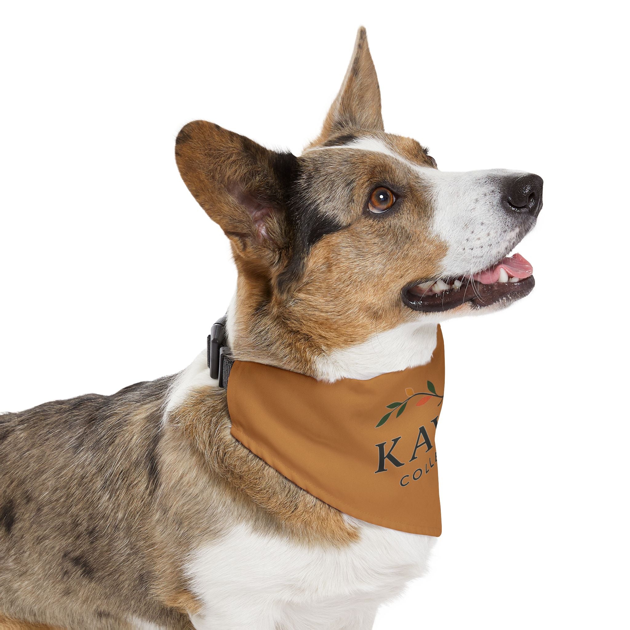 Stylish Pet Bandana Collar for Fashionable Dogs, Pet Accessories, Dog Fashion, Holiday Gifts, Cute Canine Gear