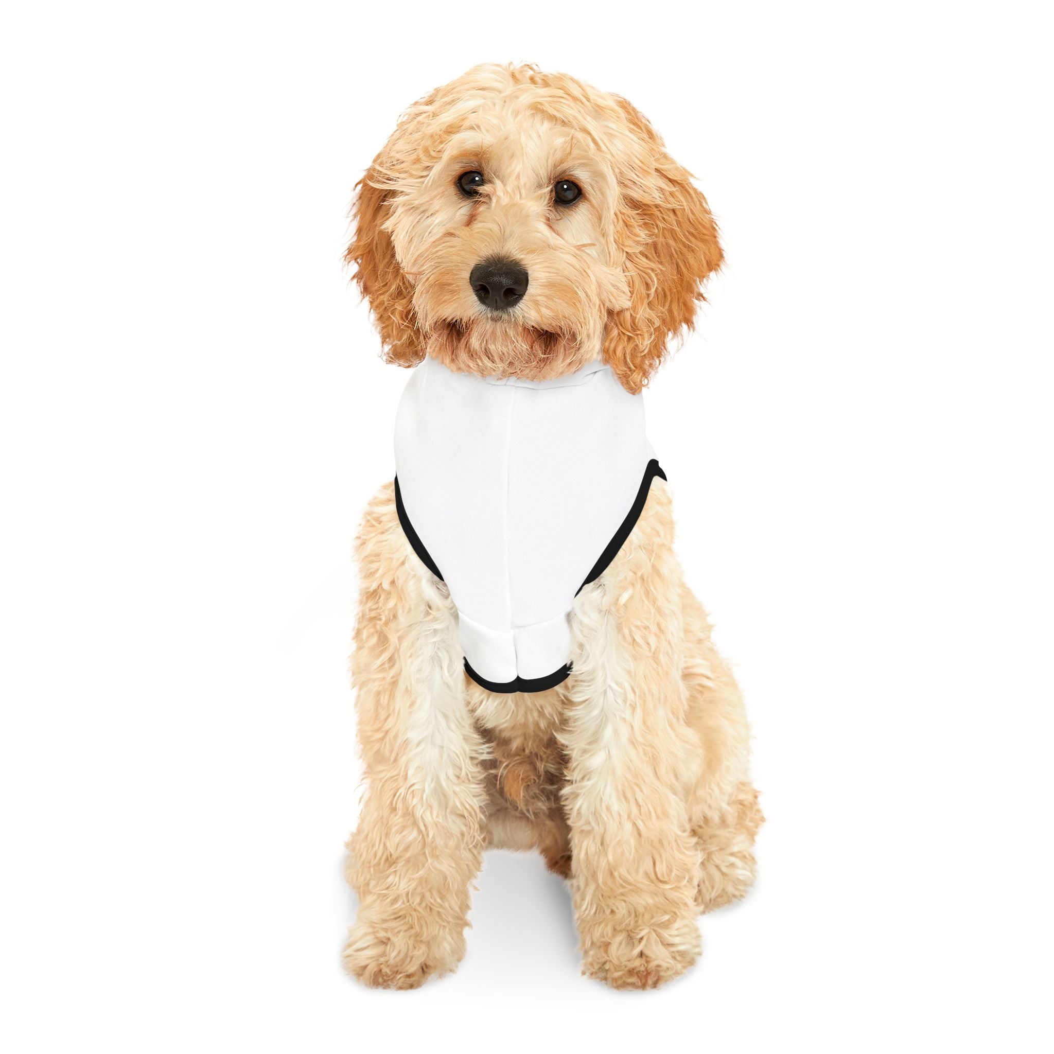 Stylish Pet Hoodie, Cozy Sweatshirt for Dogs, Cute Dog Apparel, Pet Gift for Dog Lovers, Perfect for Holidays